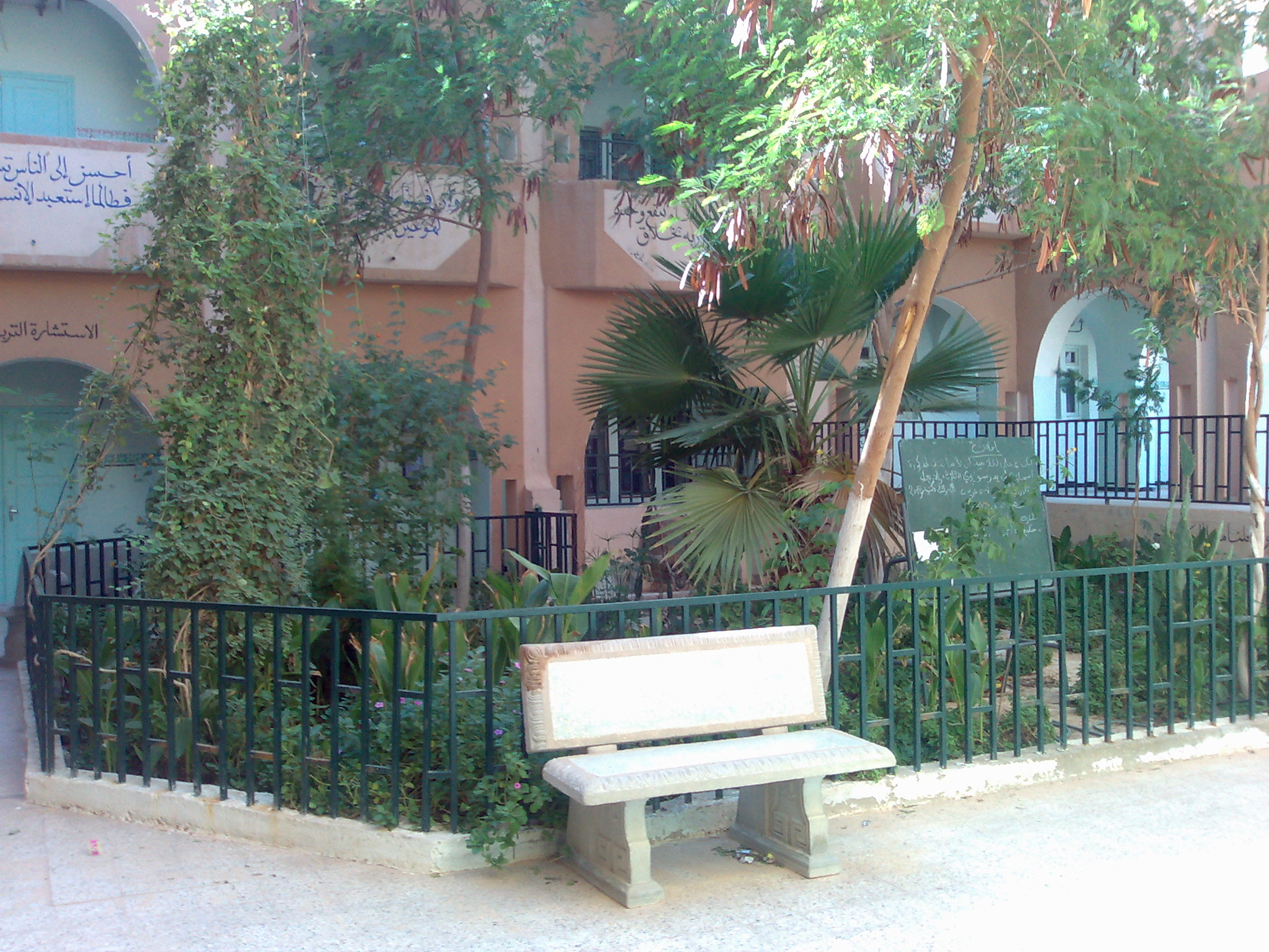 صورة المقال