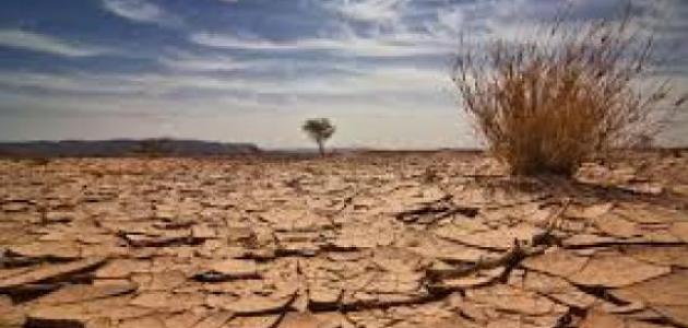 صورة المقال