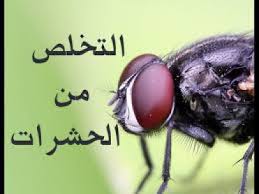 صورة المقال