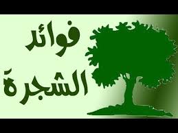 صورة المقال