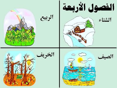 صورة المقال