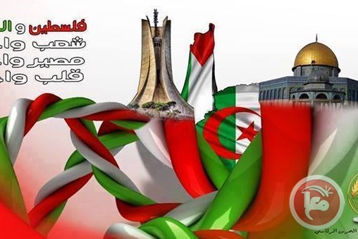 صورة المقال