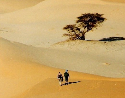 صورة المقال