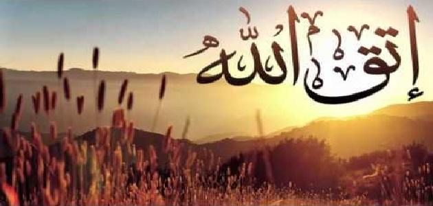صورة المقال
