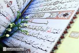 صورة المقال