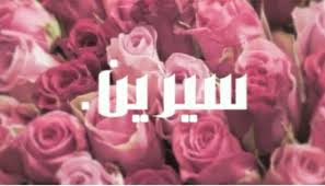 صورة المقال