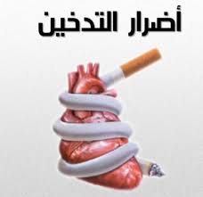 صورة المقال